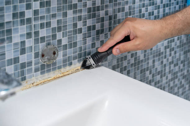 Best Black Mold Remediation in Samsula Spruce Creek, FL